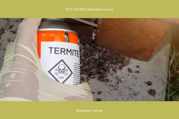 PEST CONTROL Moorestown Lenola